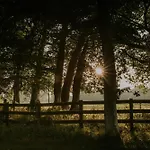 Pensjonat Killiane Castle & Farm 4*