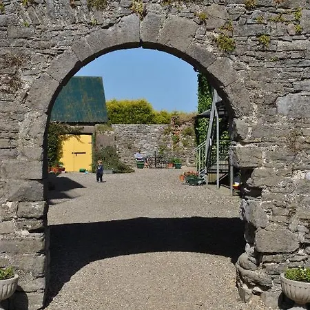 Maison d'hôtes Killiane Castle & Farm