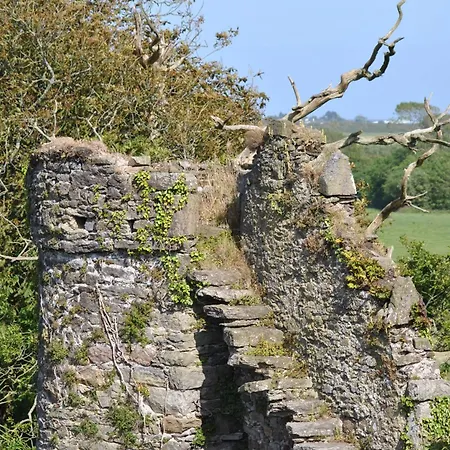 Killiane Castle & Farm Drinagh (Wexford)