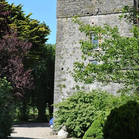 Pensjonat Killiane Castle & Farm