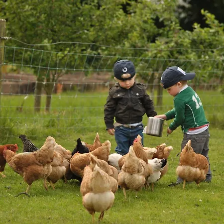 Gasthof Killiane Castle & Farm