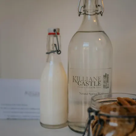 Killiane Castle & Farm Pensjonat 4*