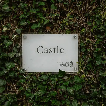 Pensjonat Killiane Castle & Farm Drinagh (Wexford)