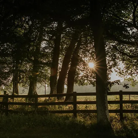 Konukevi Killiane Castle & Farm 4*