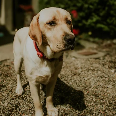 Killiane Castle & Farm