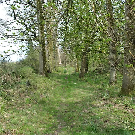 Konukevi Killiane Castle & Farm Drinagh (Wexford)