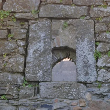 Pensjonat Killiane Castle & Farm