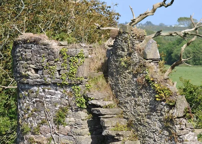 Killiane Castle & Farm Drinagh (Wexford)