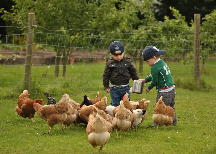 Pensjonat Killiane Castle & Farm