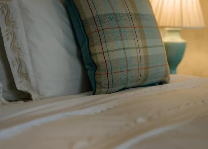 Pensjonat Killiane Castle & Farm Drinagh (Wexford)