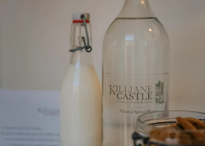 Killiane Castle & Farm Pensjonat 4*