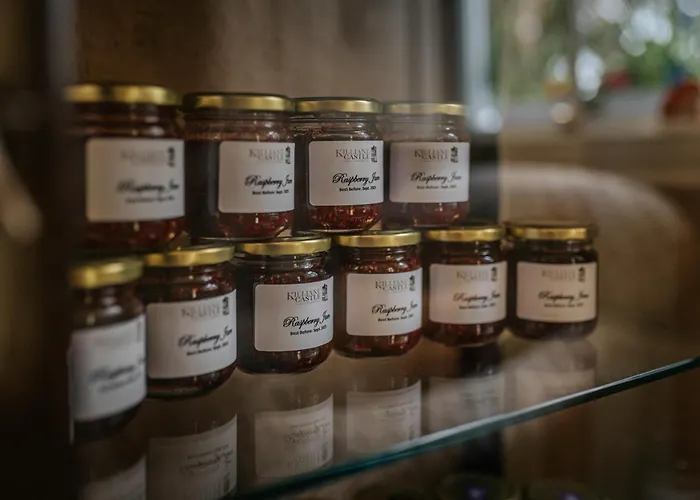 Killiane Castle & Farm Pensjonat 4*