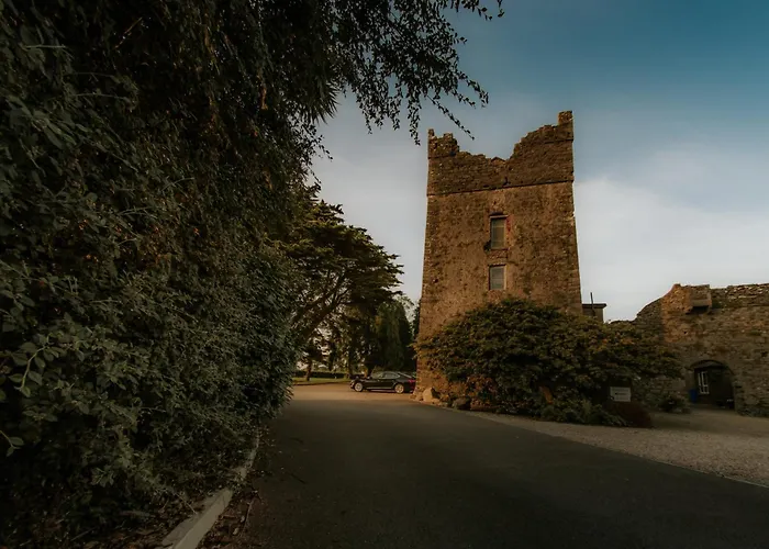 Killiane Castle & Farm Pensjonat Drinagh (Wexford)