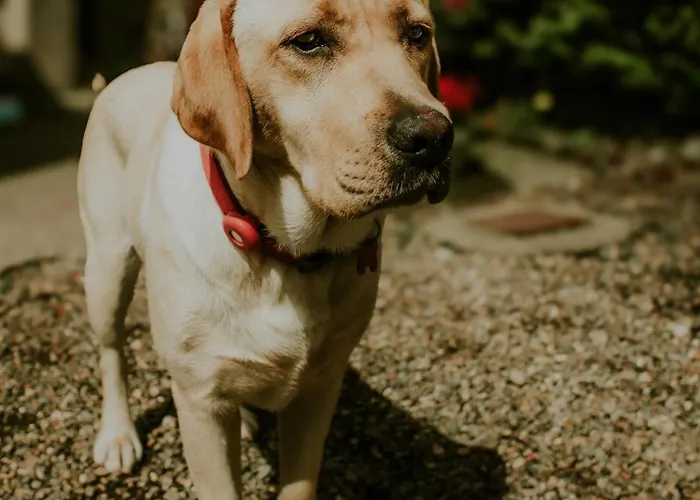 Killiane Castle & Farm