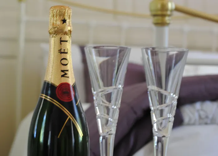 Killiane Castle & Farm Drinagh (Wexford)