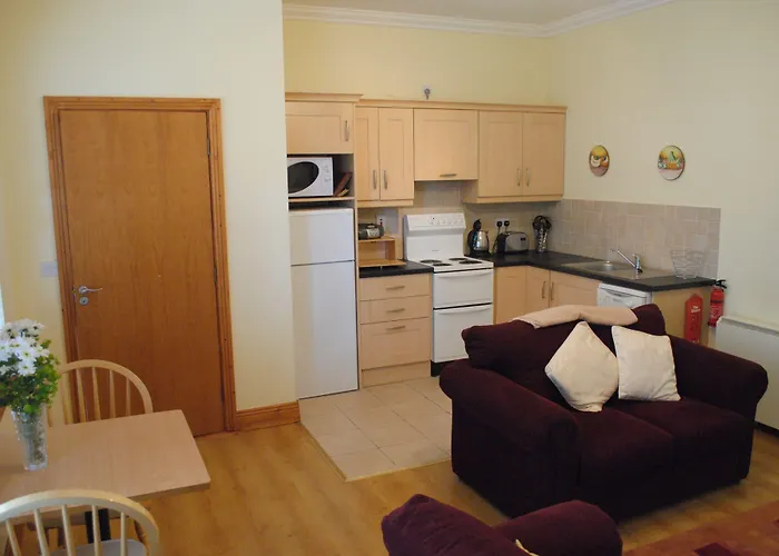 Killiane Castle & Farm Pensjonat Drinagh (Wexford)