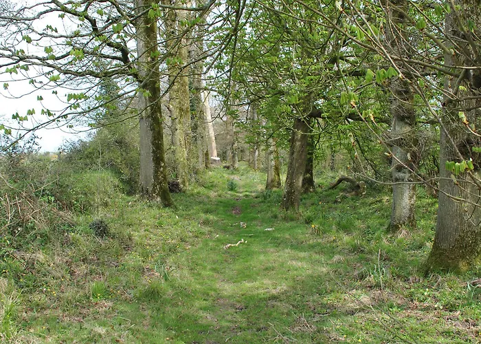 Pensjonat Killiane Castle & Farm Drinagh (Wexford)